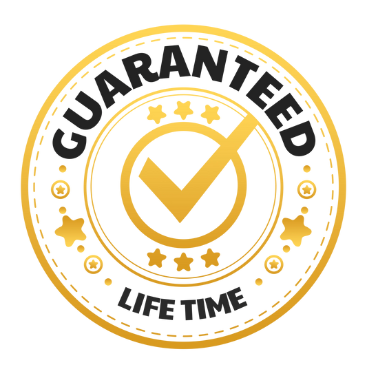 Lifetime Update & Priority Support